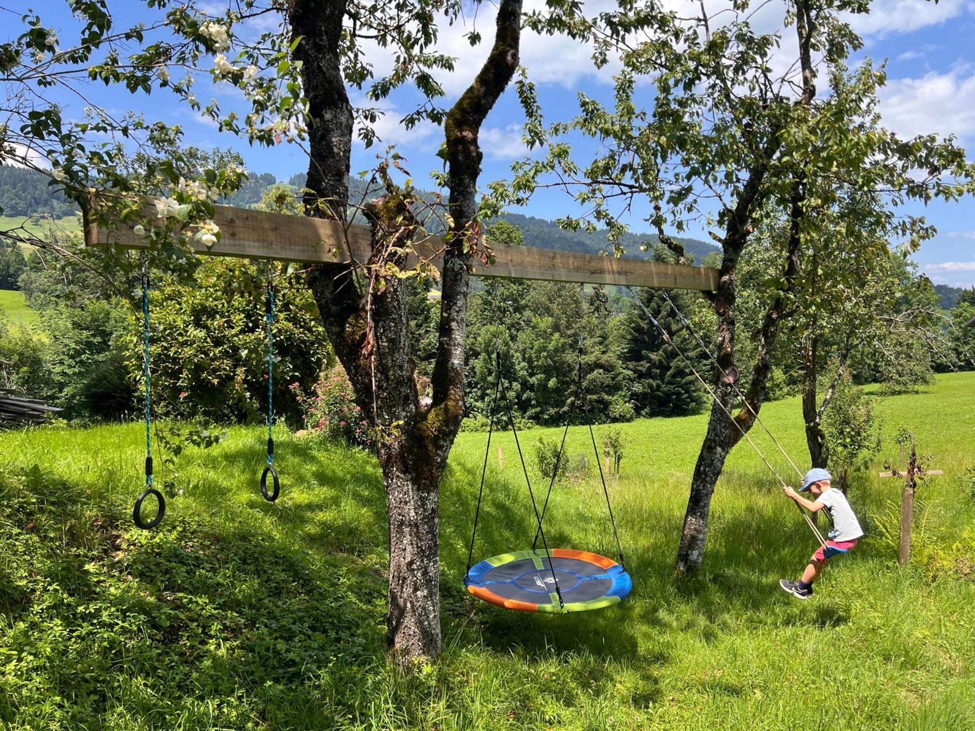 Wiesen Appartment Schwarzenberg im Bregenzerwald Buitenkant foto