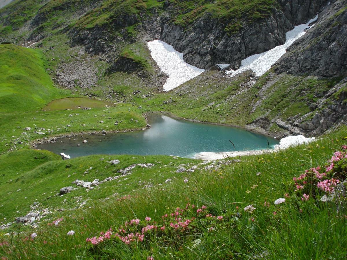 Wiesen Appartment Schwarzenberg im Bregenzerwald Buitenkant foto